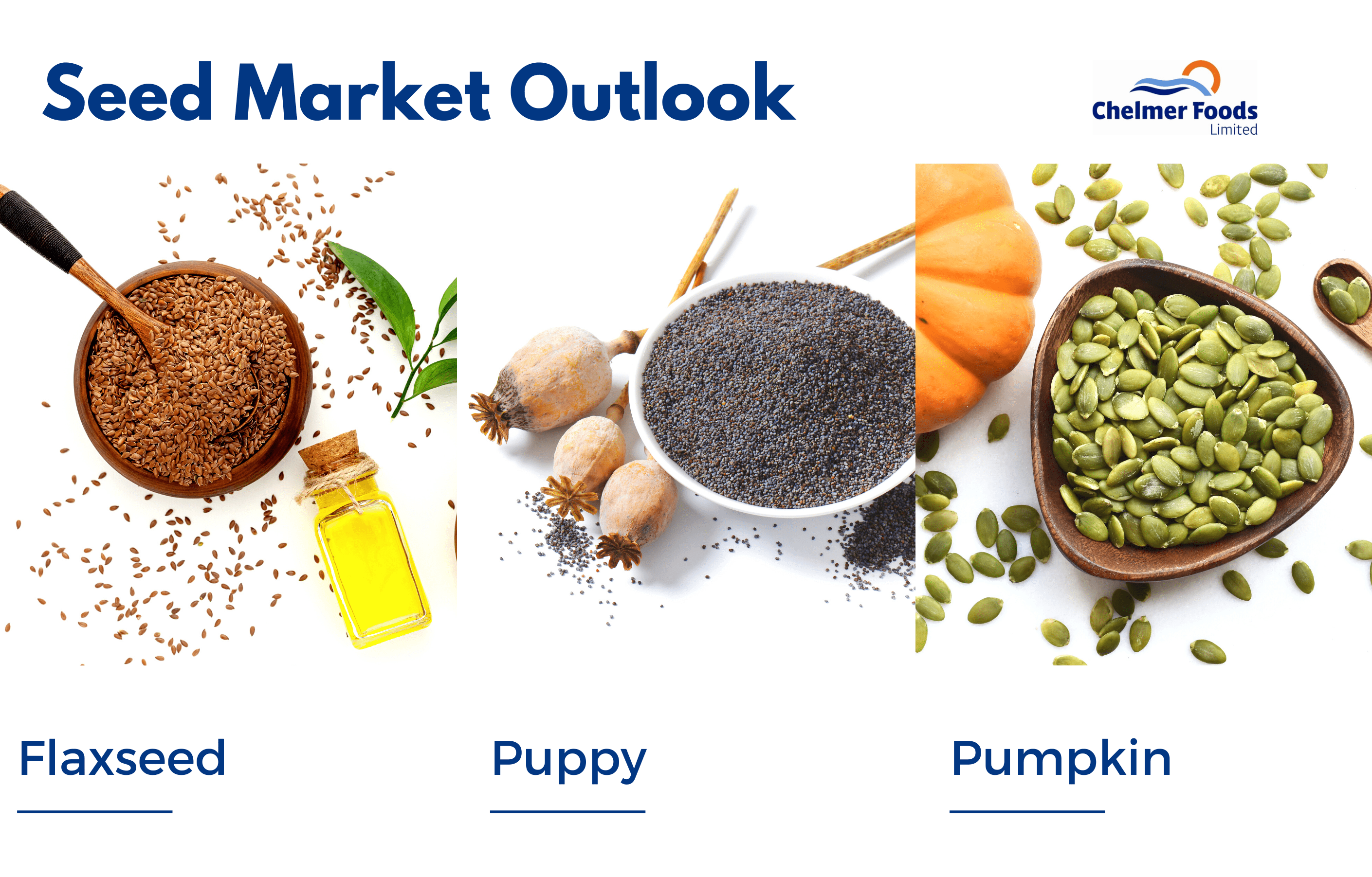 seed-market-outlook-chelmer-foods