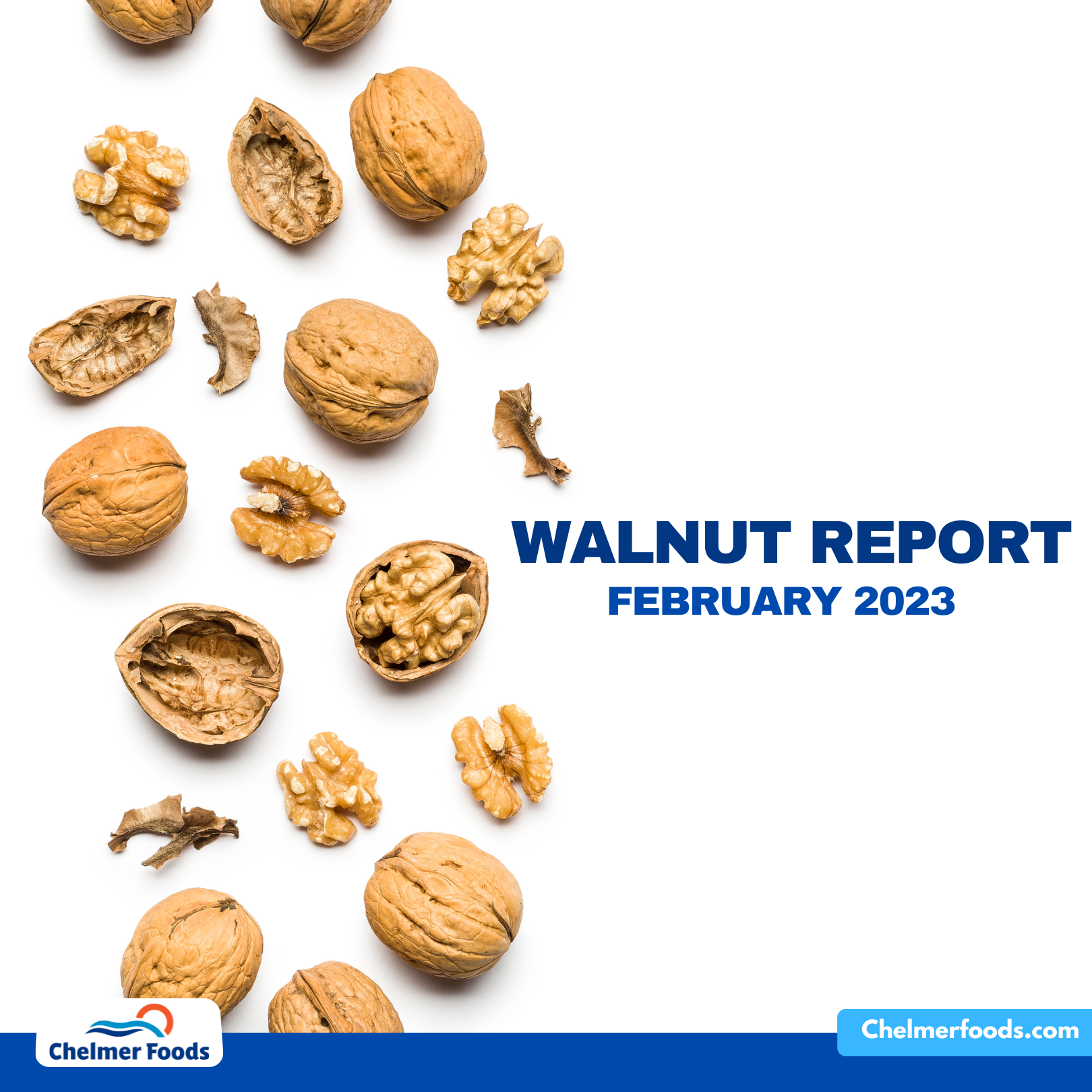 US Walnut Report February 2023 Chelmer Foods   1 14 